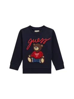 Felpa neonato con ricamo teddy blu