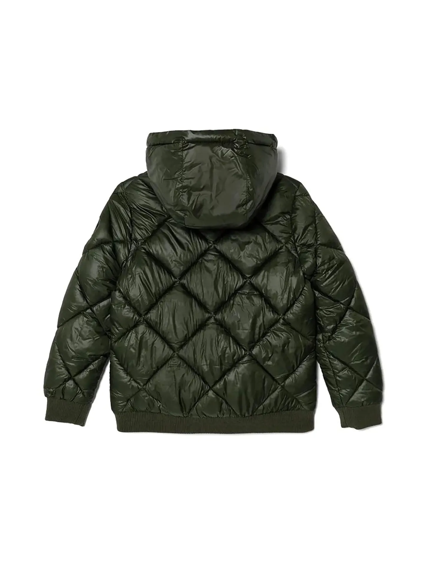 Giubbotto bomber con cappuccio in nylon trapuntato verde