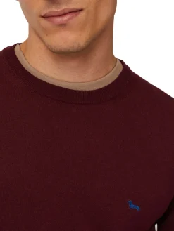 Pullover in cotone e cashmere bordeaux