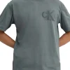 T-shirt a maniche corte con logo sul petto grigio
